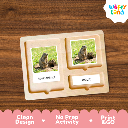 A wooden Montessori-style activity board with two photo slots showing a groundhog in grass, labeled 'Adult Animal' and 'Adult', placed on a brown wood surface. A 'Wuffy Land' logo appears in the top right, and a pink banner at the bottom reads 'Clean Design', 'No Prep Activity', and 'Print & GO'.