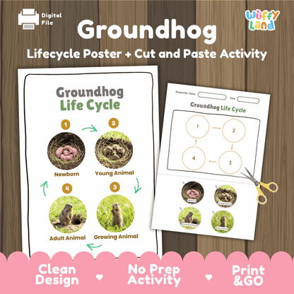 Groundhog Life Cycle Poster and Cut and Paste Activity Worksheets