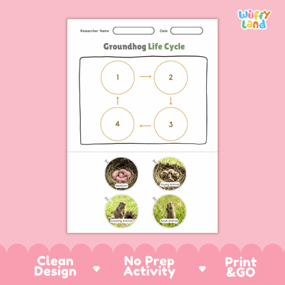 Groundhog Life Cycle Poster and Cut and Paste Activity Worksheets