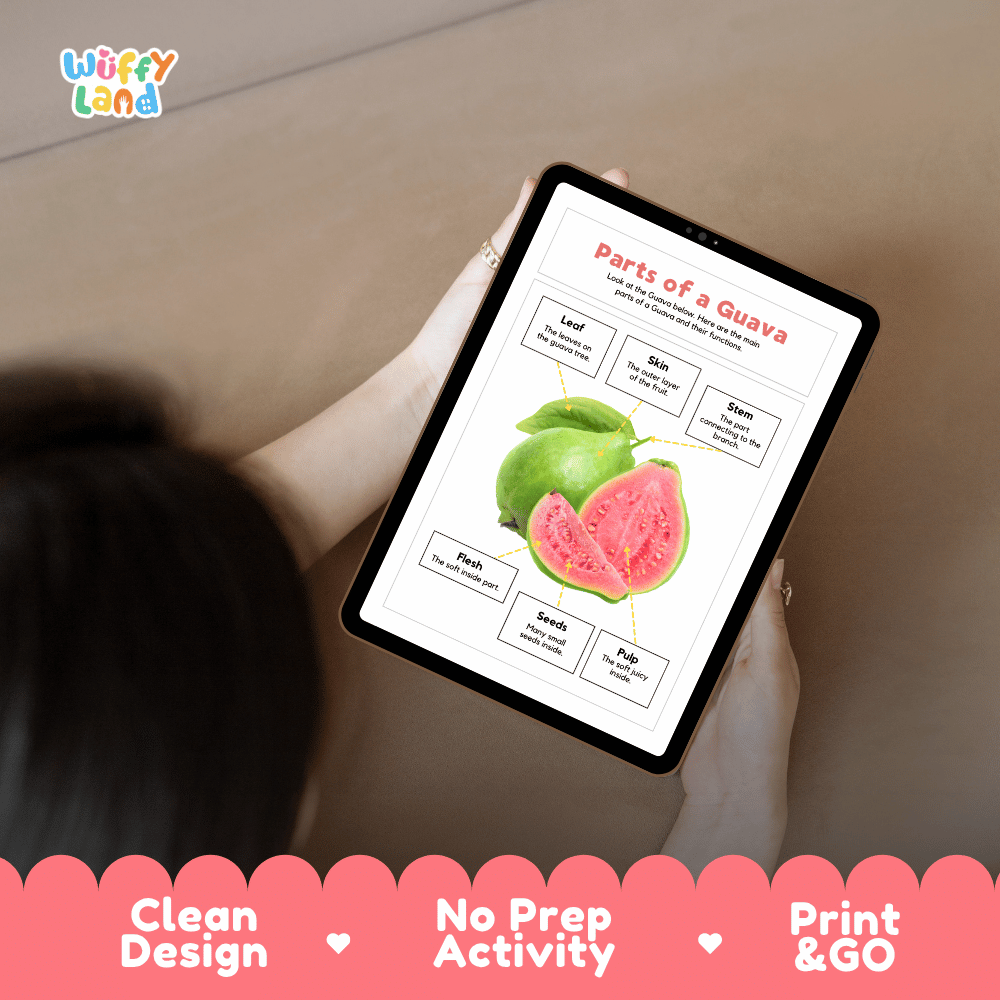 Educational cut and paste guava fruit anatomy worksheet with printable word cutout tiles for skin, flesh, seeds, pulp, stem, and leaf