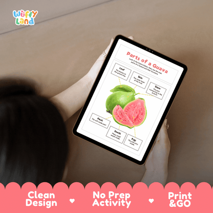 Educational cut and paste guava fruit anatomy worksheet with printable word cutout tiles for skin, flesh, seeds, pulp, stem, and leaf