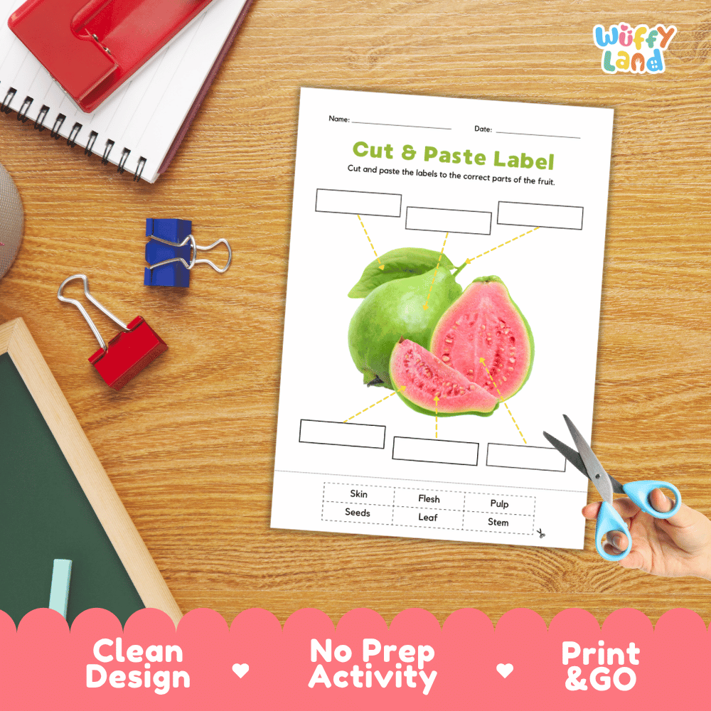 Printable plant biology worksheet showing a realistic sliced pink guava with blank labeling boxes and a vocabulary word bank for writing practice