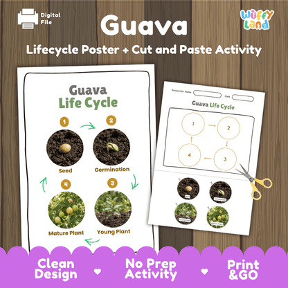 Guava plant life cycle educational poster and cut and paste printable sequencing activity featuring real photos for elementary science