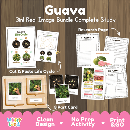 Guava tree life cycle 3in1 real image bundle complete study overview featuring cut and paste worksheets, Montessori 3-part cards, and research pages from Wuffy Land 🍏🌱