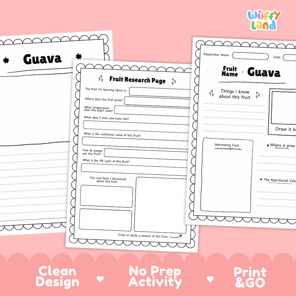 Three printable fruit research activity sheets for Guava displayed on a pink background with decorative text reading 'Clean Design', 'No Prep Activity', and 'Print & GO'. The sheets are black and white with writing areas, headings, and drawing boxes.