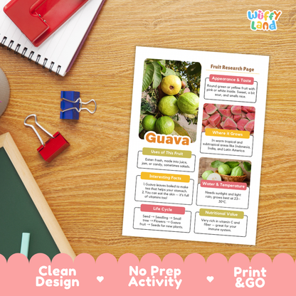 A fruit research page about guava printed on a white sheet, placed on a wooden desk with school supplies around it. The page includes photos of green and red guava fruit, text sections, and a colorful header.