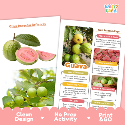 Two printed guava-themed reference cards shown on a pink background, with one card showing photos of whole and sliced guava fruit and the other showing labeled fruit research page content. The cards have a clean design and decorative pink border elements at the bottom.