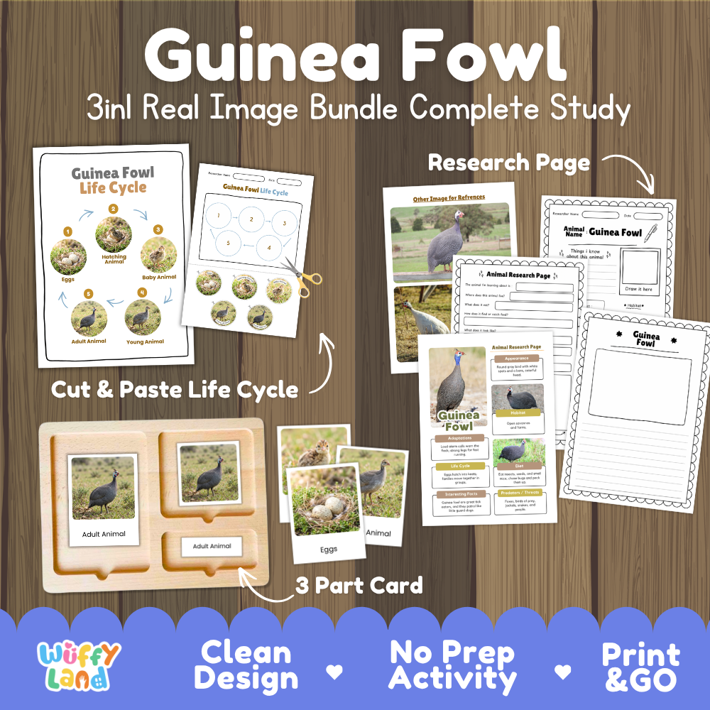 Guinea fowl 3-in-1 real image bundle complete study cover showing cut and paste life cycle, 3 part cards, and research pages