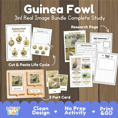 Guinea fowl 3-in-1 real image bundle complete study cover showing cut and paste life cycle, 3 part cards, and research pages