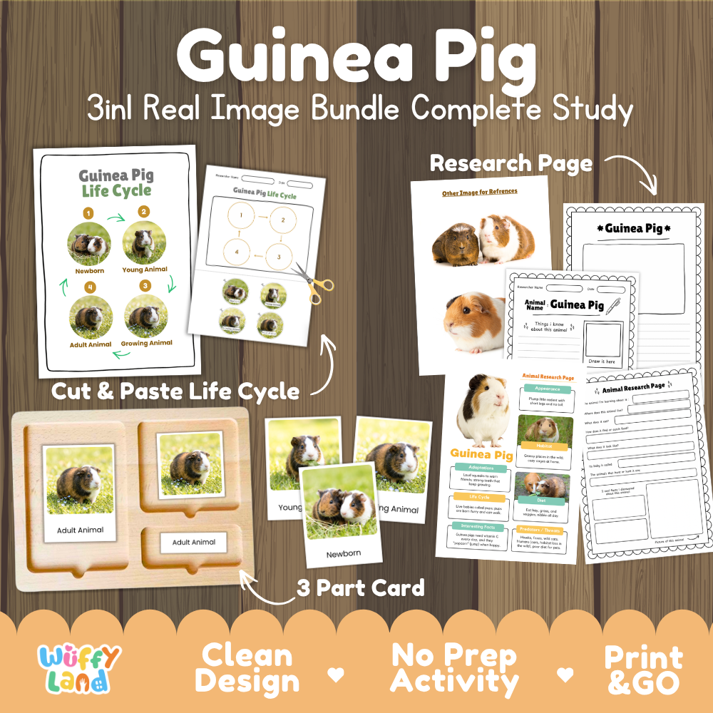 Guinea Pig 3-in-1 real image bundle complete study cover showing cut and paste life cycle, 3 part cards, and research pages