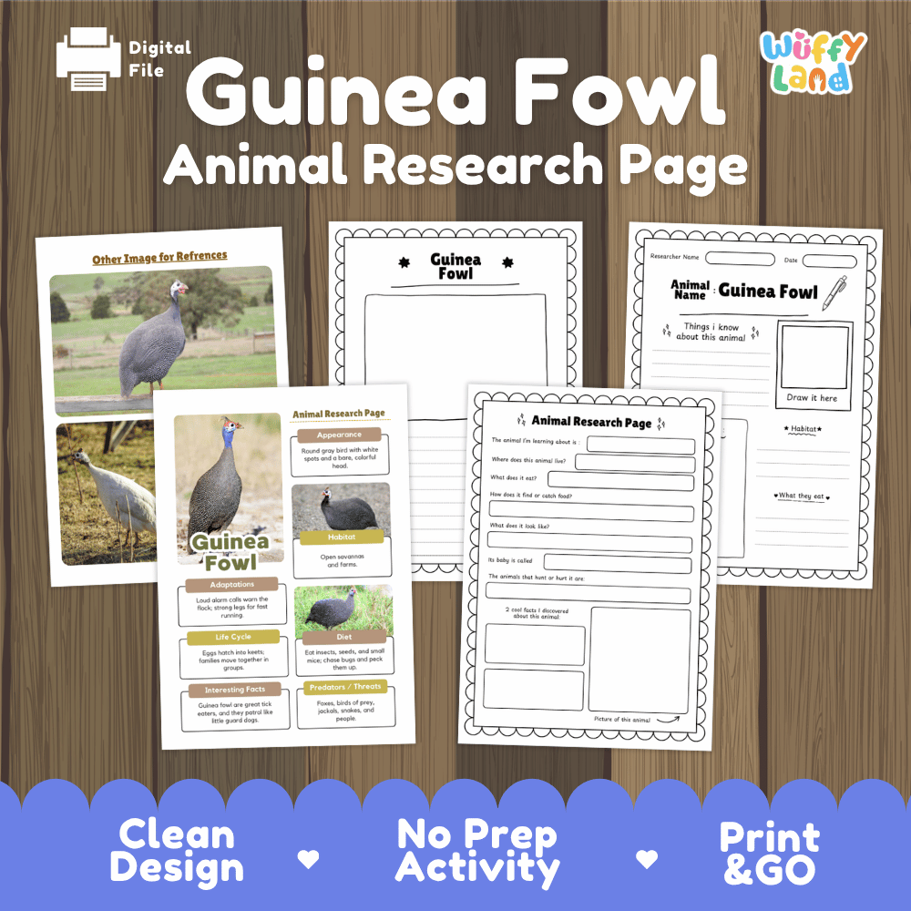 Guinea Fowl Animal Research Page Graphic Organizers and Worksheets
