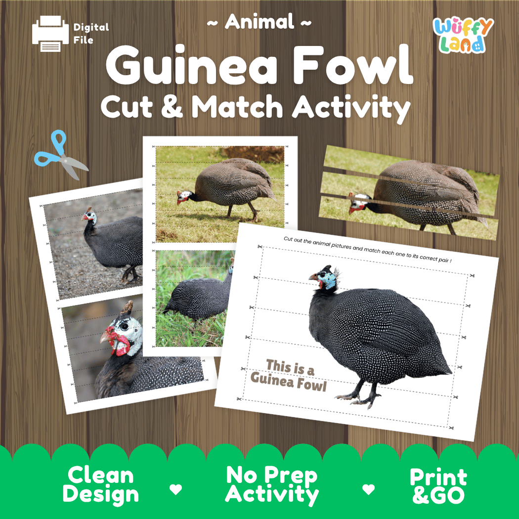 Guinea Fowl Cut and Match Activity Worksheets | Bird Animal Puzzle Printables