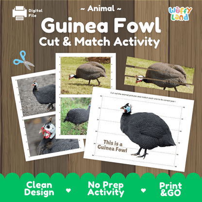 Guinea Fowl Cut and Match Activity Worksheets | Bird Animal Puzzle Printables