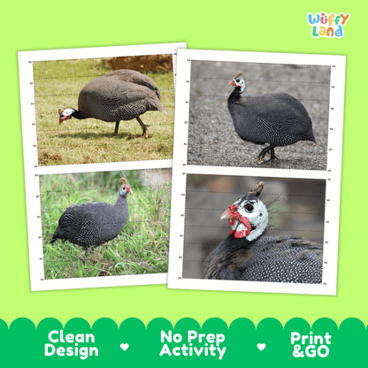 Guinea Fowl Cut and Match Activity Worksheets | Bird Animal Puzzle Printables