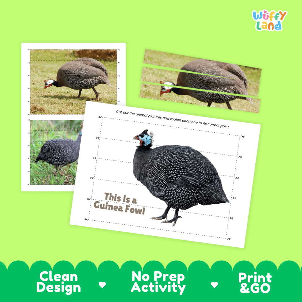 Guinea Fowl Cut and Match Activity Worksheets | Bird Animal Puzzle Printables