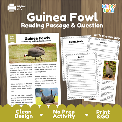Guinea Fowl Reading Passage and Comprehension Questions Worksheets