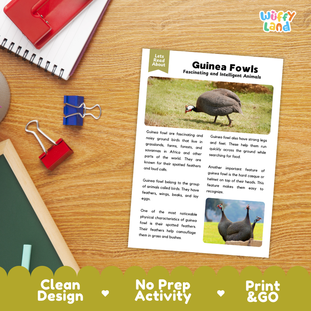Guinea Fowl Reading Passage and Comprehension Questions Worksheets