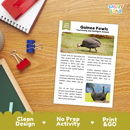 Guinea Fowl Reading Passage and Comprehension Questions Worksheets