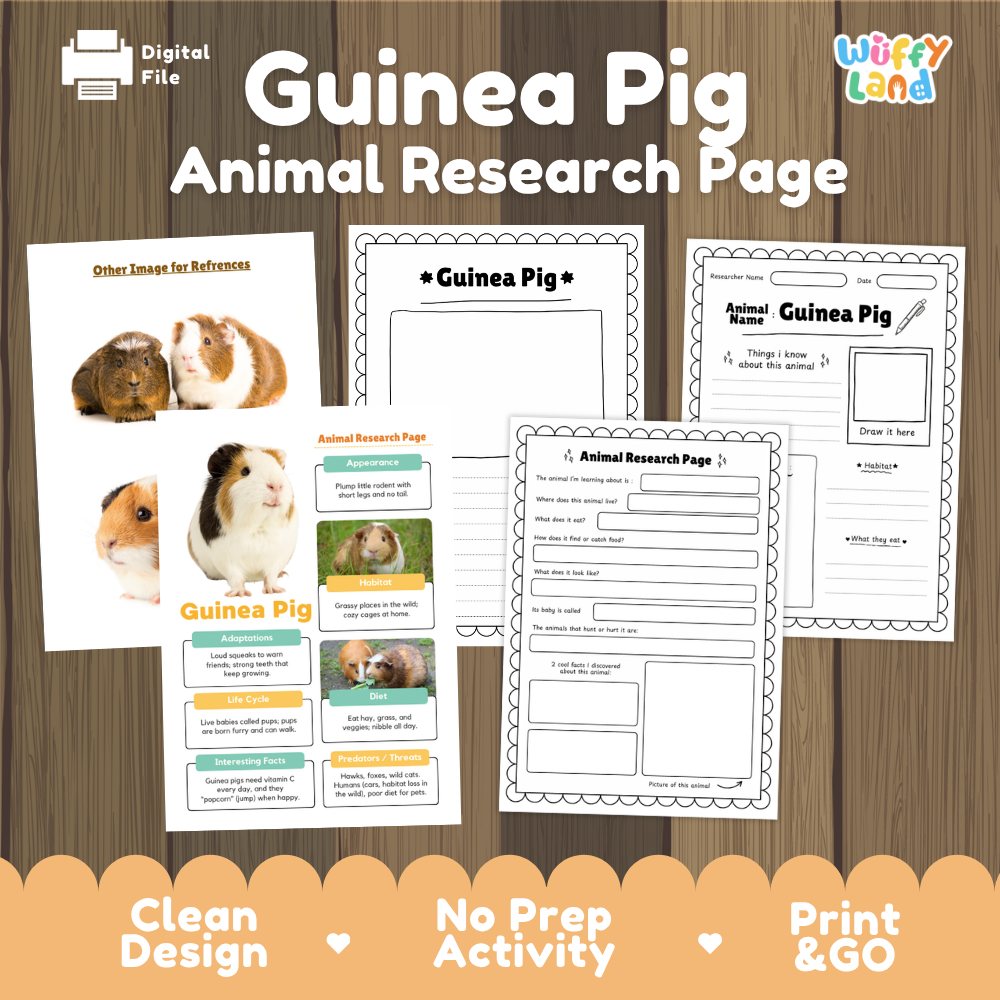 Guinea pig animal research page activity sheet set by Wiffly Land, displayed on a wood background with promotional text at the bottom.