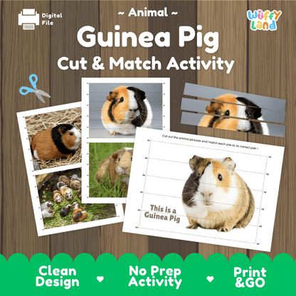 Guinea Pig Cut and Match Activity Worksheets | Pet Animal Puzzle Printables