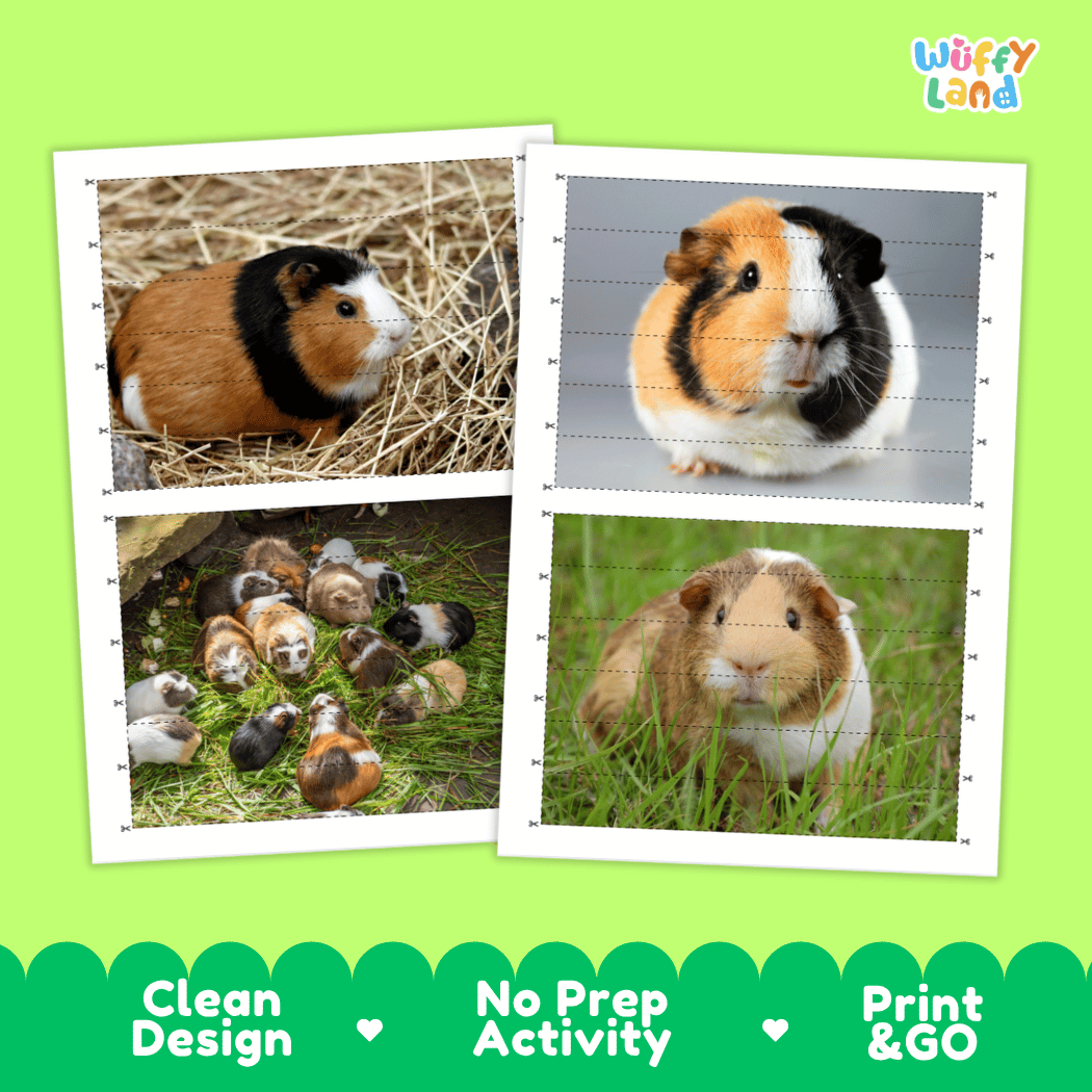 Guinea Pig Cut and Match Activity Worksheets | Pet Animal Puzzle Printables