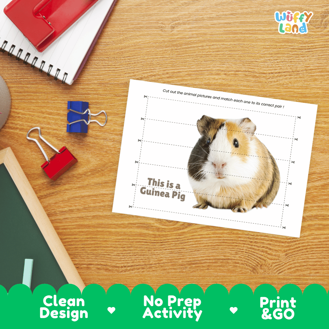Guinea Pig Cut and Match Activity Worksheets | Pet Animal Puzzle Printables