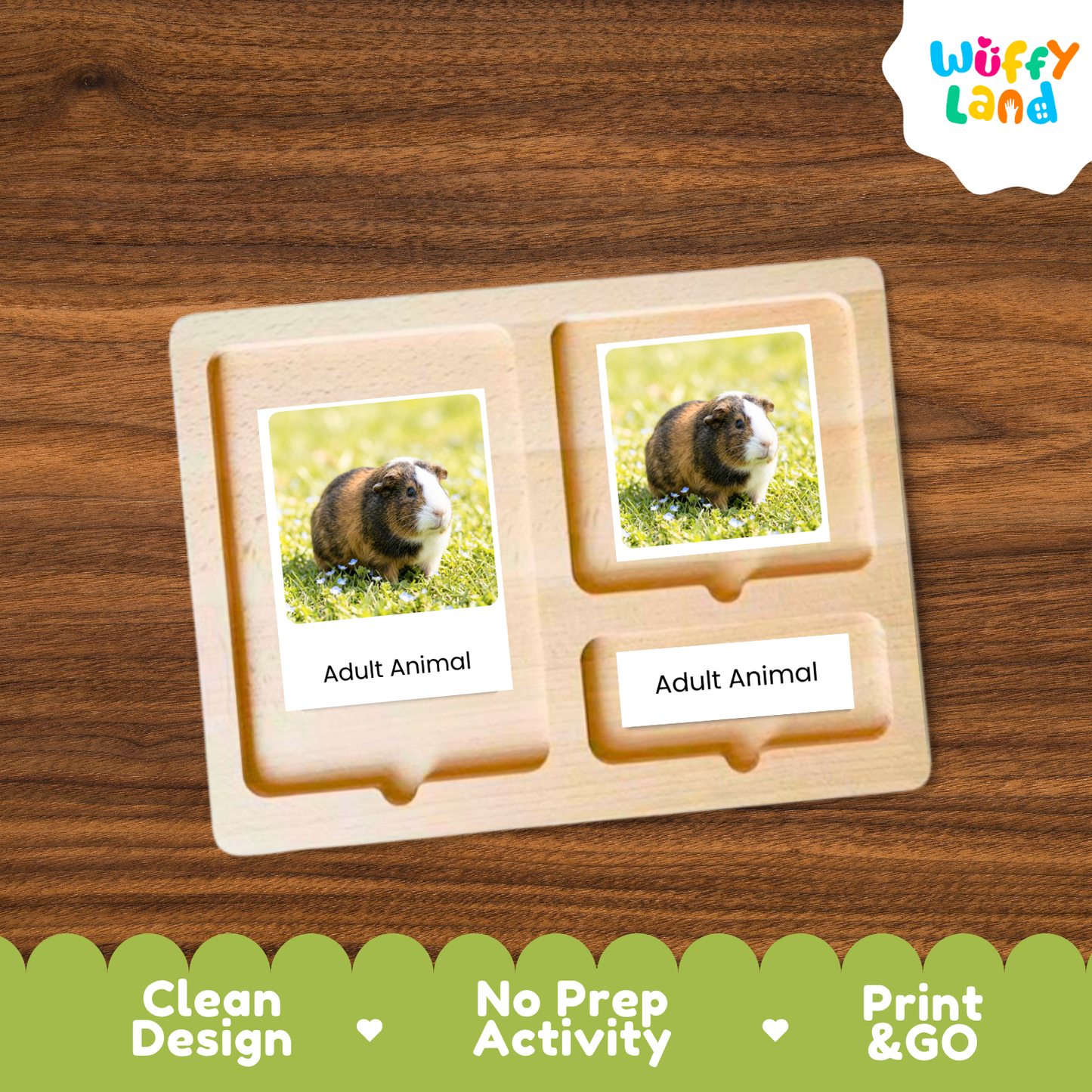 A wooden Montessori-style activity board with two labeled slots reading 'Adult Animal' and printed photos of a guinea pig, shown on a wood-grain background. A 'Wuffy Land' logo appears in the top right, and a green banner at the bottom highlights 'Clean Design', 'No Prep Activity', and 'Print & GO'.