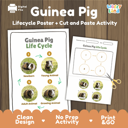 Guinea Pig Life Cycle Poster and Cut and Paste Activity Worksheets