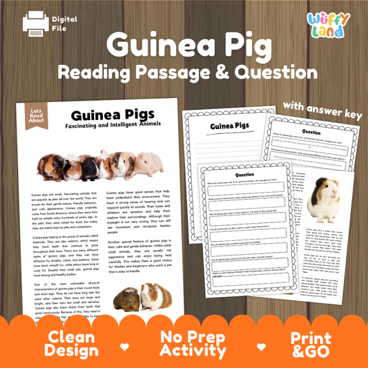 Guinea Pig Reading Passage and Comprehension Questions Worksheets