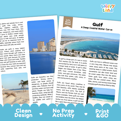 Gulf Reading Passage and Questions Nonfiction Science Worksheets