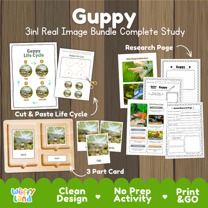 Guppy 3-in-1 real image bundle complete study cover showing cut and paste life cycle, 3 part cards, and research pages