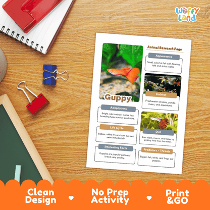 Guppy Animal Research Page Worksheets and Fact Sheet Activity
