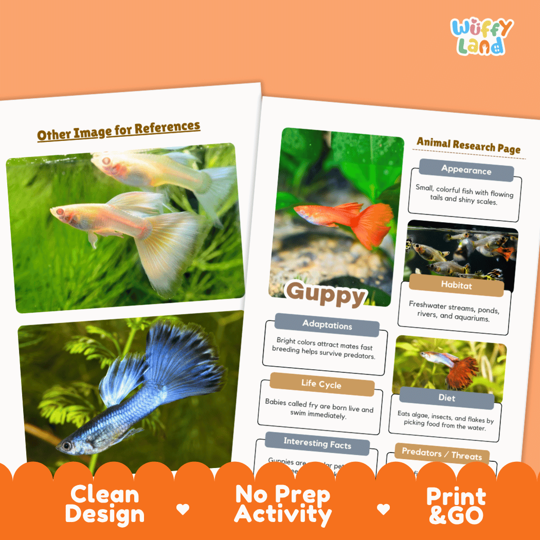Guppy Animal Research Page Worksheets and Fact Sheet Activity