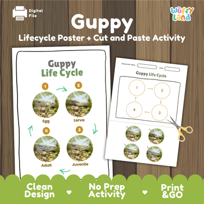 Guppy Life Cycle Poster and Cut and Paste Worksheet Activity
