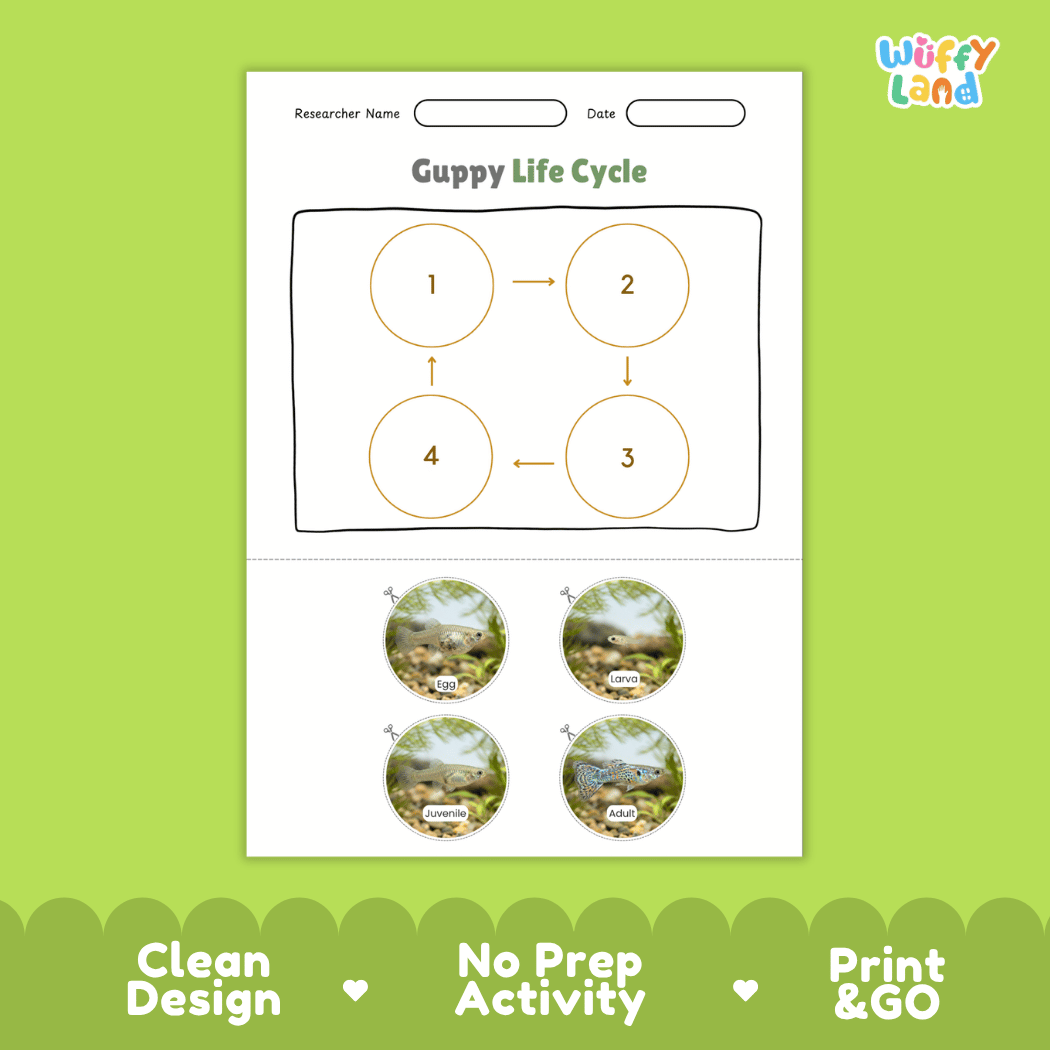 Guppy Life Cycle Poster and Cut and Paste Worksheet Activity