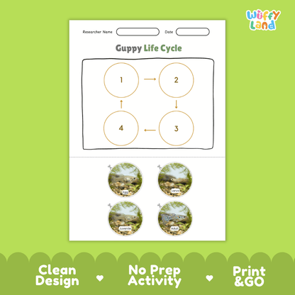 Guppy Life Cycle Poster and Cut and Paste Worksheet Activity