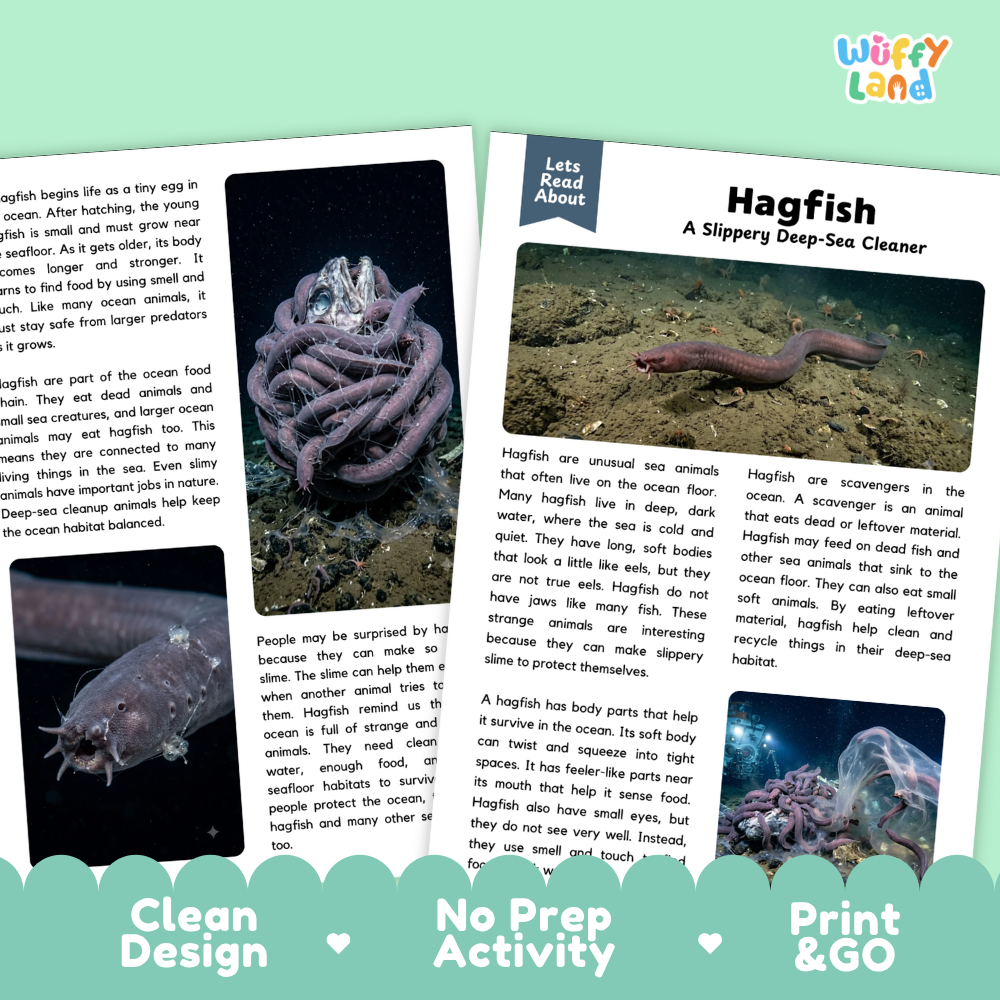 A children's educational poster about the hagfish, featuring two black-and-white photographs, several text panels, and the words 'Hagfish' and 'A Slippery Deep-Sea Cleaner.' The poster is shown at an angle on a white background with the brand name 'Wuffly land' in the top right corner.