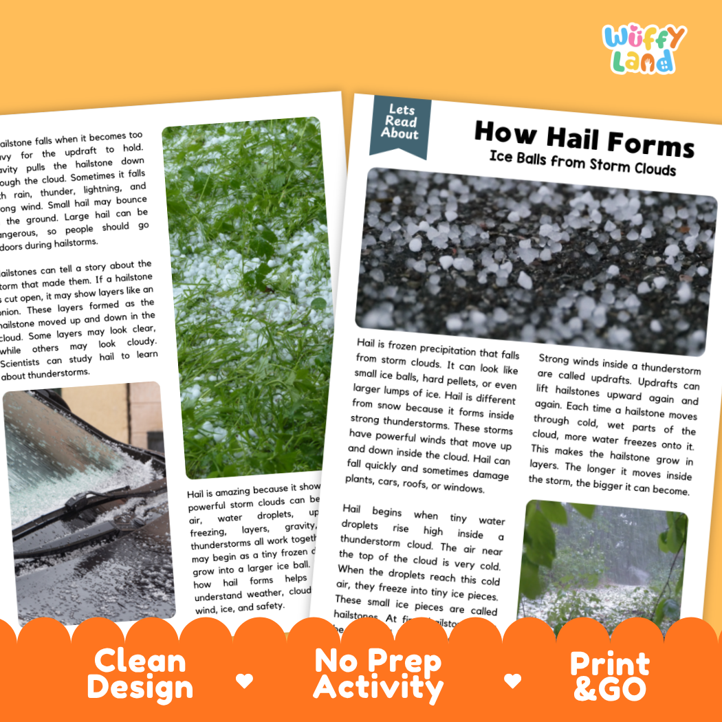 Complete teacher answer key worksheet providing detailed model responses for hail comprehension questions