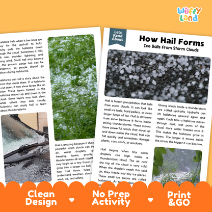 Complete teacher answer key worksheet providing detailed model responses for hail comprehension questions