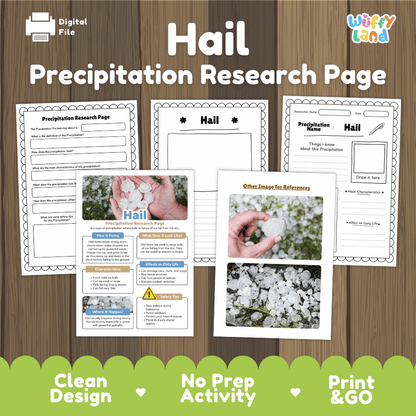 Hail Precipitation Research Page Worksheets Weather Science Activity
