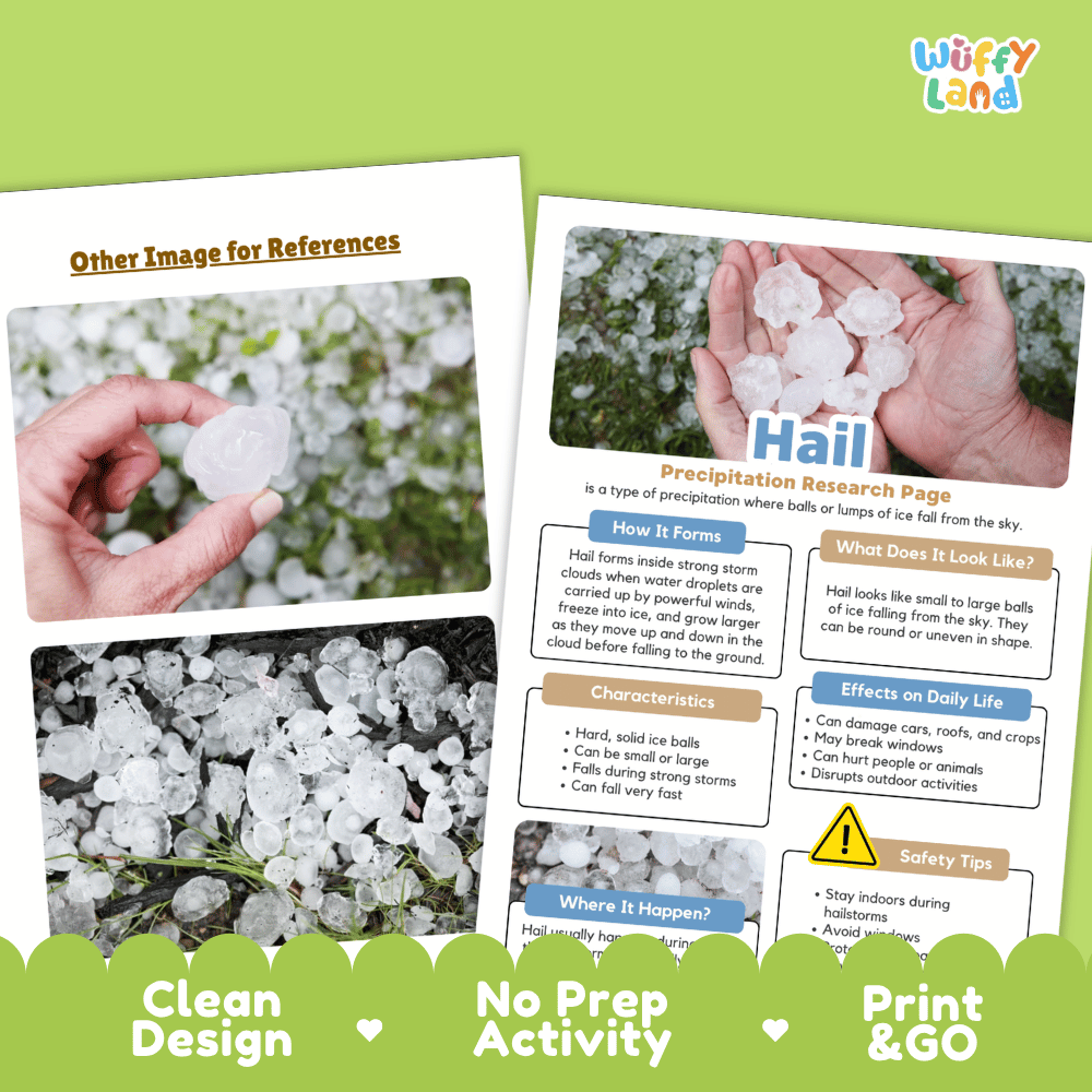 Hail Precipitation Research Page Worksheets Weather Science Activity