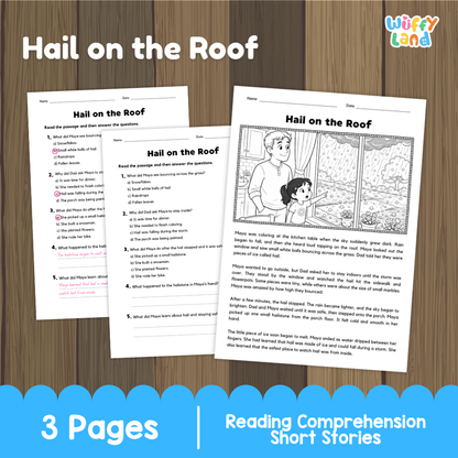 Hail on the Roof Reading Comprehension Passage and Questions Worksheets