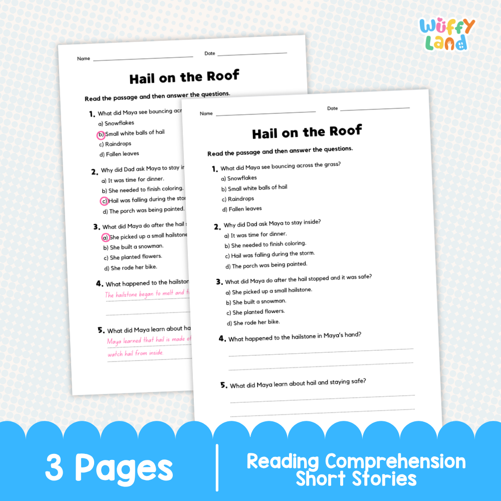 Hail on the Roof Reading Comprehension Passage and Questions Worksheets