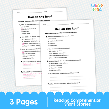 Hail on the Roof Reading Comprehension Passage and Questions Worksheets