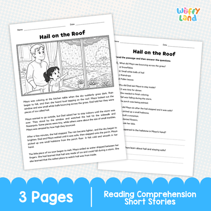 Hail on the Roof Reading Comprehension Passage and Questions Worksheets