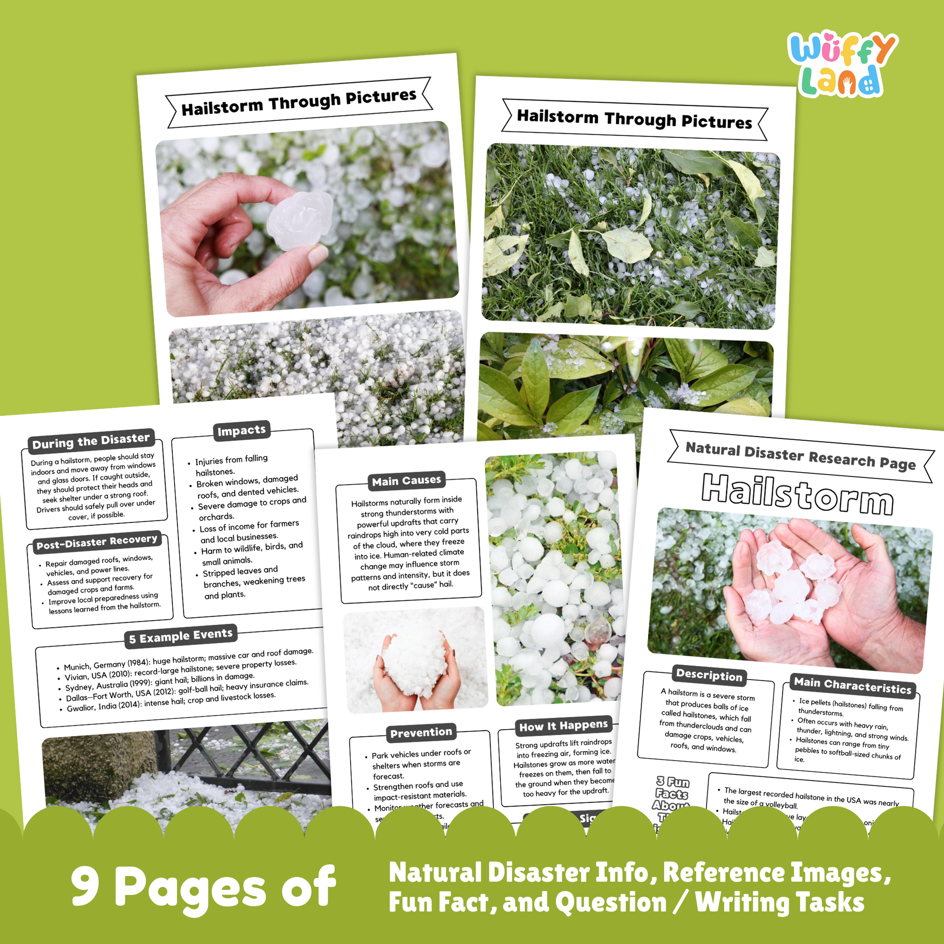 Printable hailstorm research worksheets for kids, including a natural disaster research page, vocabulary sections, picture prompts, main causes, characteristics, prevention steps, impacts, and example events. Pages show images of hail, damaged plants, and activity sheets for writing and labeling