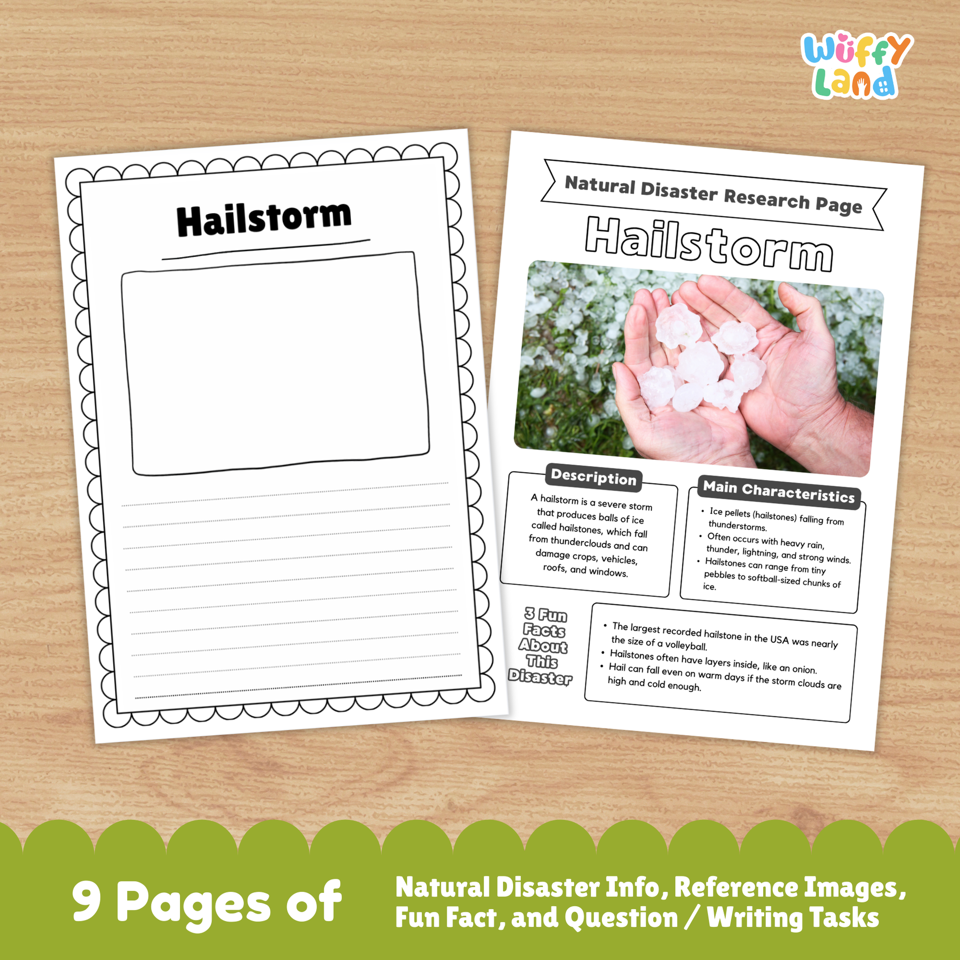 Printable hailstorm research worksheets for kids, including a natural disaster research page, vocabulary sections, picture prompts, main causes, characteristics, prevention steps, impacts, and example events. Pages show images of hail, damaged plants, and activity sheets for writing and labeling