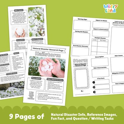 Printable hailstorm research worksheets for kids, including a natural disaster research page, vocabulary sections, picture prompts, main causes, characteristics, prevention steps, impacts, and example events. Pages show images of hail, damaged plants, and activity sheets for writing and labeling