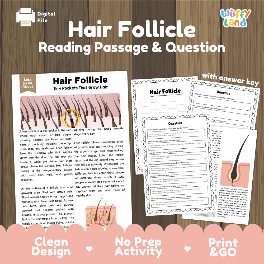Hair follicle reading comprehension passage and questions printable activity pack with answer key for elementary students