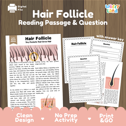 Hair follicle reading comprehension passage and questions printable activity pack with answer key for elementary students